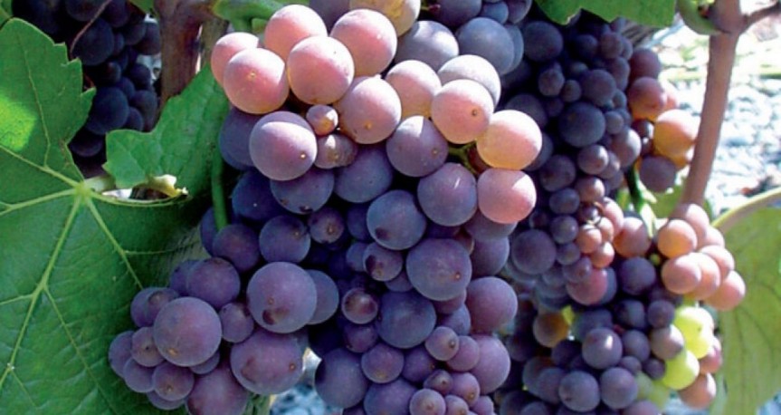 blog image